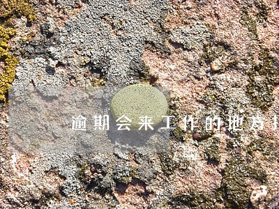 逾期会来工作的地方找你吗 逾期会来工作的地方找你吗