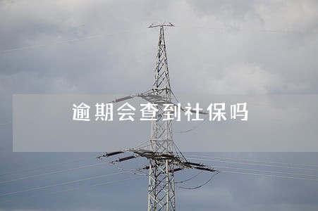 逾期会查到社保吗