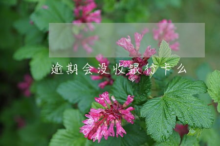 逾期会没收银行卡么 逾期会没收银行卡么