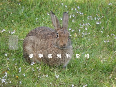 逾期会涨利息吗 逾期会涨利息吗