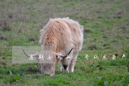 逾期会用私人号码发资产核查短信 逾期会用私人号码发资产核查短信