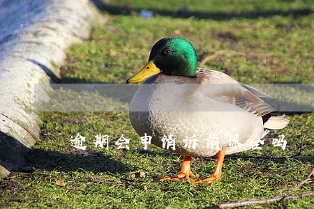 逾期会申请诉前保全吗 逾期会申请诉前保全吗