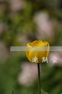 逾期会真的来评估车子吗 逾期会真的来评估车子吗