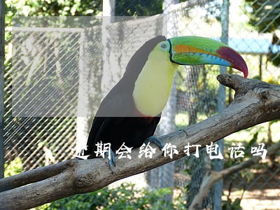逾期会给你打电话吗 逾期会给你打电话吗