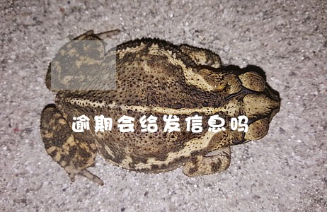 逾期会给发信息吗 逾期会给发信息吗