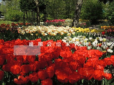 逾期会给家人打电话么 逾期会给家人打电话么
