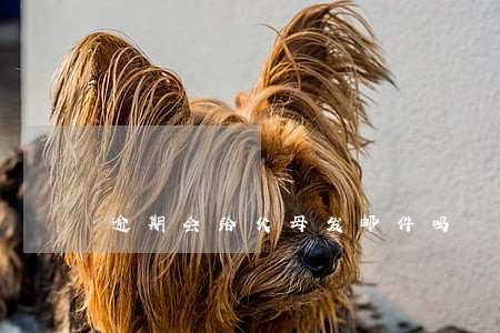 逾期会给父母发邮件吗 逾期会给父母发邮件吗