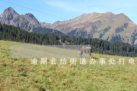 逾期会给街道办事处打电话吗 逾期会给街道办事处打电话吗