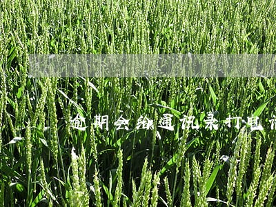 逾期会给通讯录打电话吗 逾期会给通讯录打电话吗