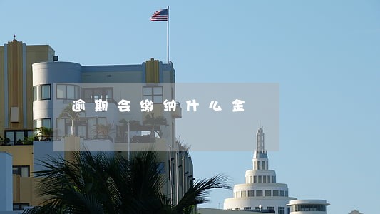 逾期会缴纳什么金 逾期会缴纳什么金