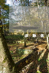 逾期会联系手机通讯录里的人吗 逾期会联系手机通讯录里的人吗