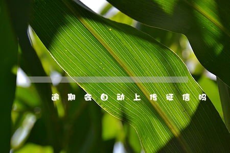 逾期会自动上传征信吗 逾期会自动上传征信吗