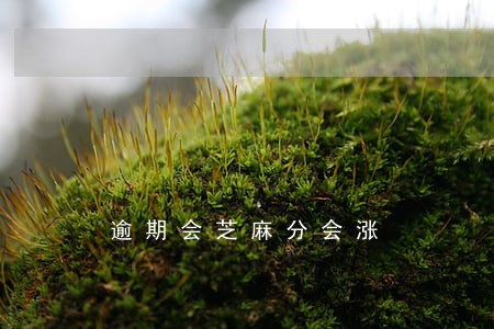 逾期会芝麻分会涨 逾期会芝麻分会涨