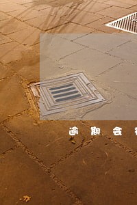 逾期会被冻结社保吗 逾期会被冻结社保吗