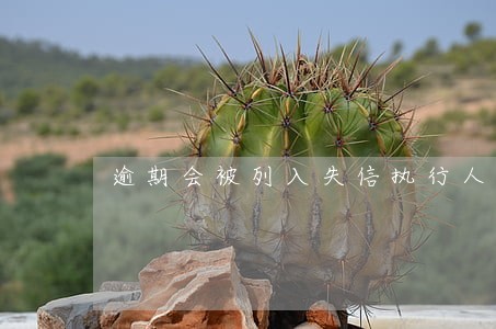 逾期会被列入失信执行人吗 逾期会被列入失信执行人吗