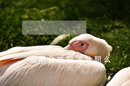 逾期会被取消分期么 逾期会被取消分期么