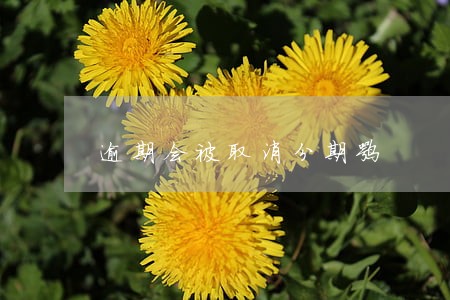 逾期会被取消分期嘛
