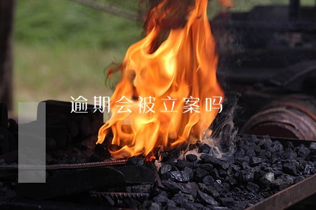 逾期会被立案吗 逾期会被立案吗