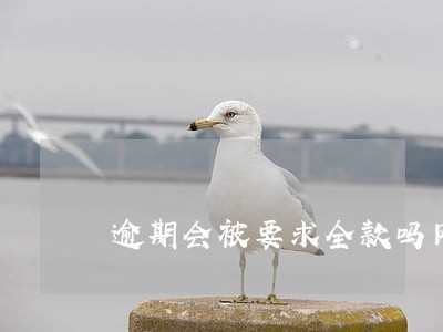 逾期会被要求全款吗网贷 逾期会被要求全款吗网贷