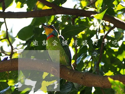 逾期会被锁银行卡吗