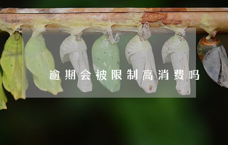 逾期会被限制高消费吗 逾期会被限制高消费吗