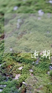 逾期会通知村委会么 逾期会通知村委会么