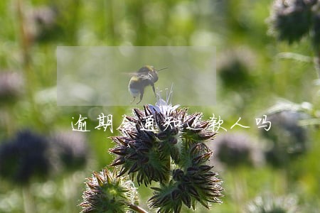 逾期会通知还款人吗 逾期会通知还款人吗