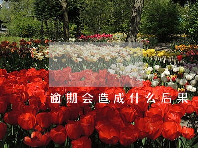 逾期会造成什么后果