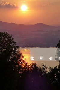 逾期会降低信用分吗 逾期会降低信用分吗