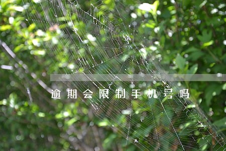 逾期会限制手机号吗 逾期会限制手机号吗