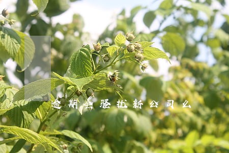 逾期会骚扰新公司么