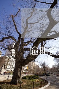 逾期会黑户吗 逾期会黑户吗