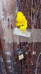 逾期传票图片 逾期传票图片