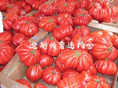 逾期传票违约金 逾期传票违约金