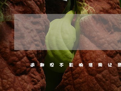 逾期但不影响信用记录 逾期但不影响信用记录