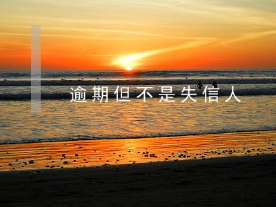 逾期但不是失信人 逾期但不是失信人