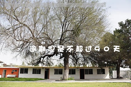 逾期但是不超过90天 逾期但是不超过90天
