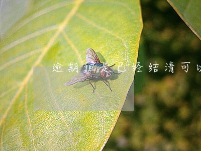 逾期但是已经结清可以办理信用卡 逾期但是已经结清可以办理信用卡