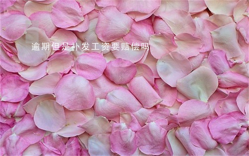 逾期但是补发工资要赔偿吗 逾期但是补发工资要赔偿吗
