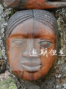 逾期但是还清了会上征信吗