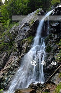 逾期但是还清影响政审吗 逾期但是还清影响政审吗