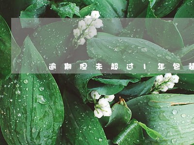 逾期但未超过1年包装物押金 逾期但未超过1年包装物押金