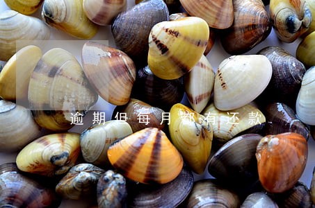 逾期但每月都有还款 逾期但每月都有还款