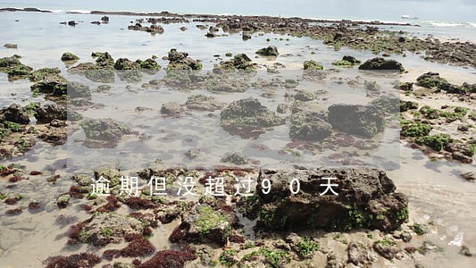 逾期但没超过90天 逾期但没超过90天