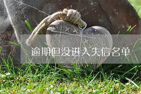 逾期但没进入失信名单