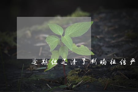 逾期但还清了影响征信严重吗 逾期但还清了影响征信严重吗