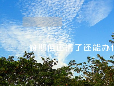逾期但还清了还能办信用卡吗 逾期但还清了还能办信用卡吗