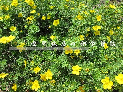 逾期住房公积金贷款