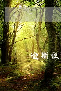 逾期住房租赁费用 逾期住房租赁费用