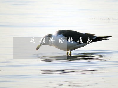 逾期体检的通知